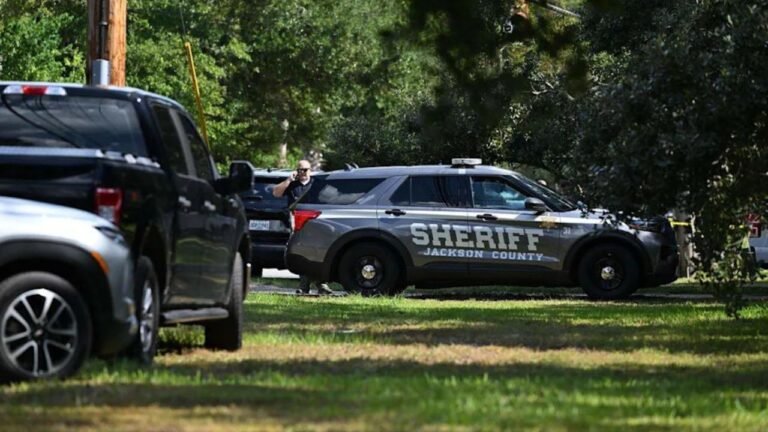 Deputy in Mississippi Killed in Crash with Horse While Driving Home