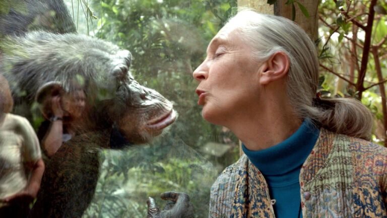 Jane Goodall, Renowned Chimpanzee Researcher, Dies at 91