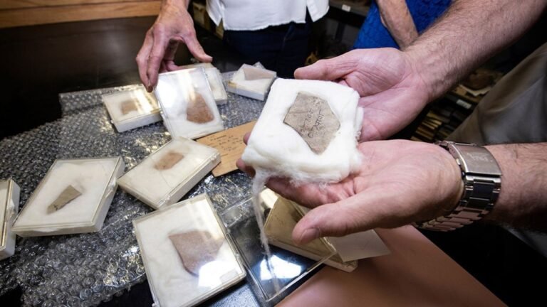 MSU’s Cobb Institute Marks 50 Years of Archaeological Discovery and Innovation