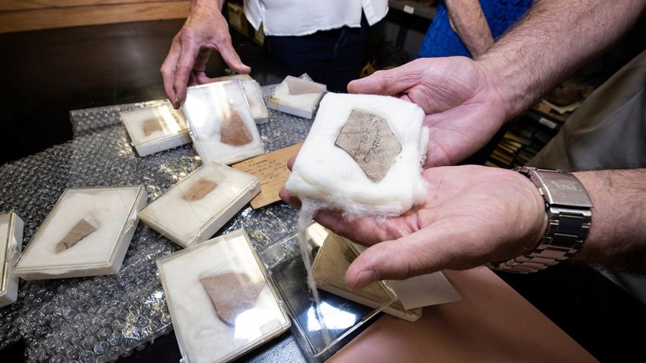 MSU’s Cobb Institute Marks 50 Years of Archaeological Discovery and Innovation