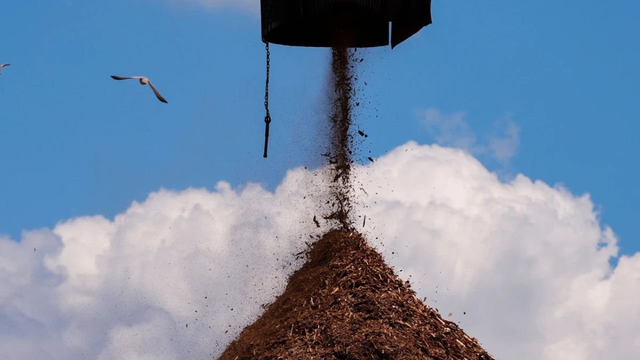 Mississippi Residents File Lawsuit Against UK Biomass Firm Over Expanded Emissions Permit