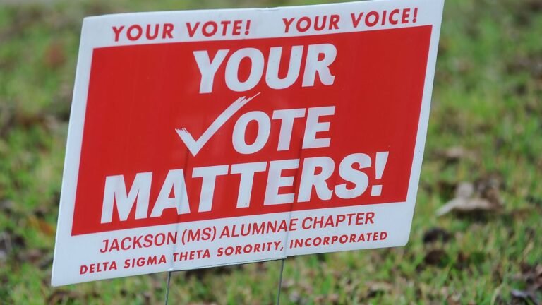 See Who’s Running in the Nov. 4 Mississippi Election for Forrest, Lamar, and Perry Counties