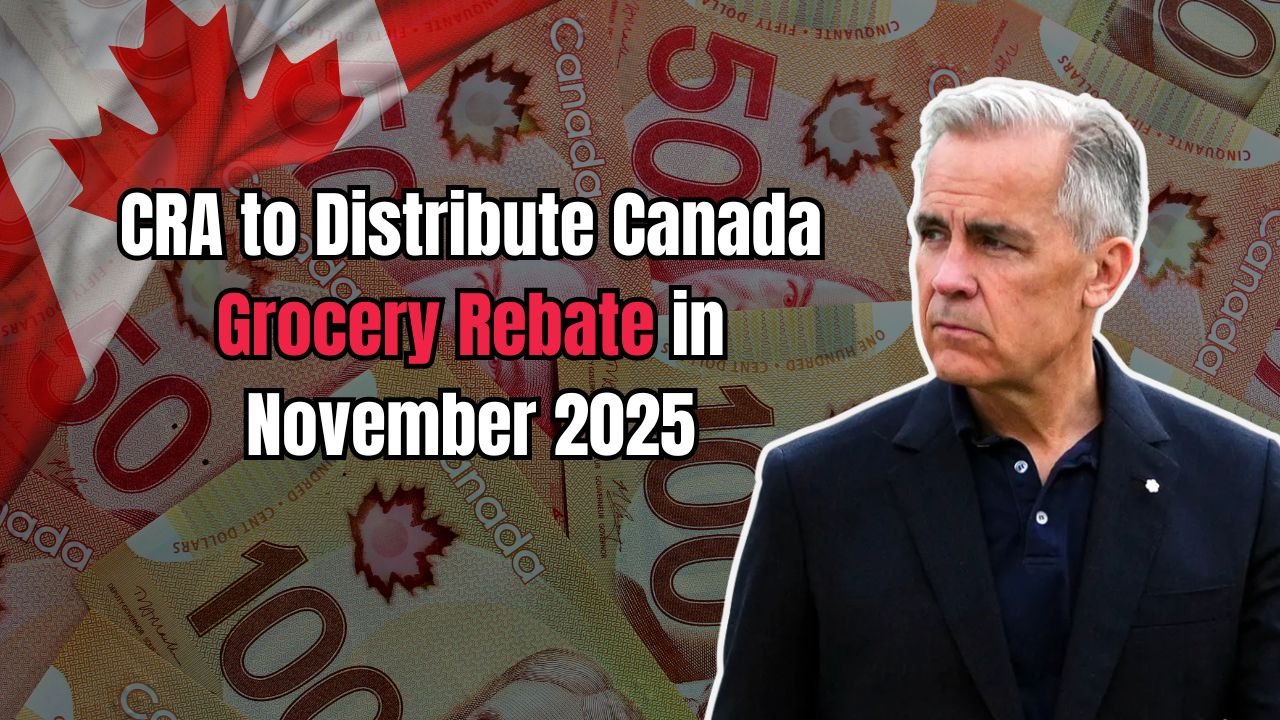CRA to Distribute Canada Grocery Rebate in November 2025 – Updated Payment Dates and Eligibility Explained